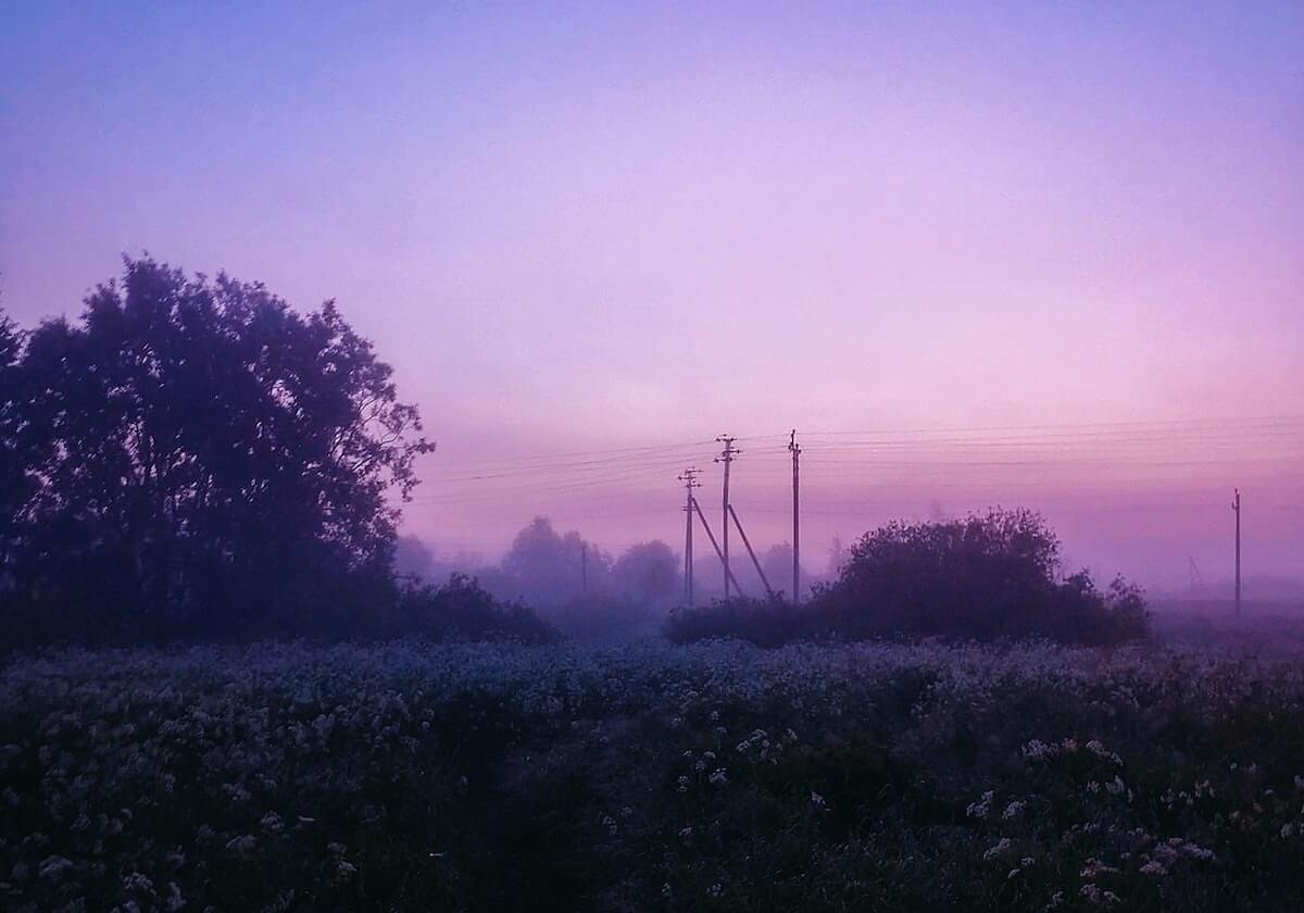2000万身价引爆热议！妖星横空出世，利物浦锋线能否改写十年格局
